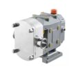 Bơm thực phẩm PEROTAC TUL bơm rotor inox | Bùi Thơ 0972 668 343